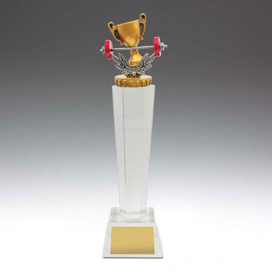 UC62C - Gym Crystal 290mm - Trophy Land UC62C - Trophy Land