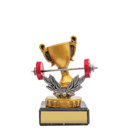 UM62A - Gym Marble 95mm - Trophy Land UM62A - Trophy Land