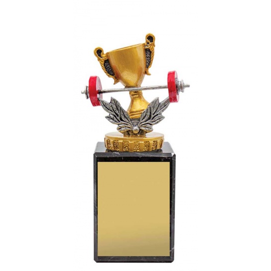 UM62C - Trophy Land
