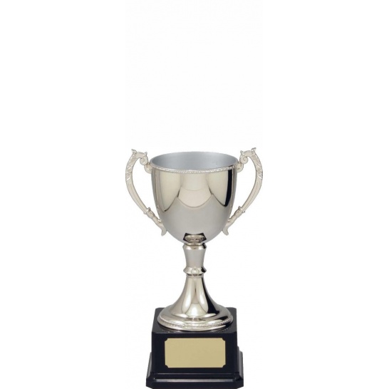 VT10-2 - Engravable Cups 250mm - Trophy Land VT10-2 - Trophy Land