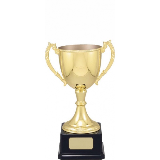 VT12 - Engravable Cups 310mm - Trophy Land VT12 - Trophy Land
