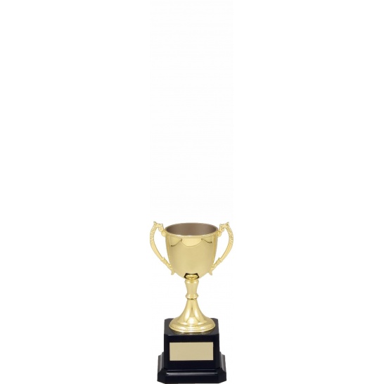 VT5 - Engravable Cups 145mm - Trophy Land VT5 - Trophy Land