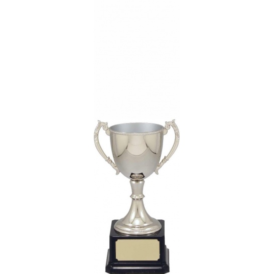VT9-2 - Engravable Cups 220mm - Trophy Land VT9-2 - Trophy Land