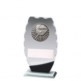 Pickleball Trophy WM771A - Trophy Land