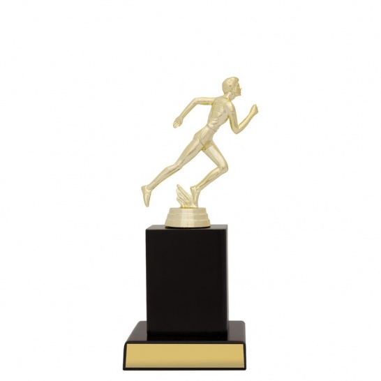 X614C - Trophy Land