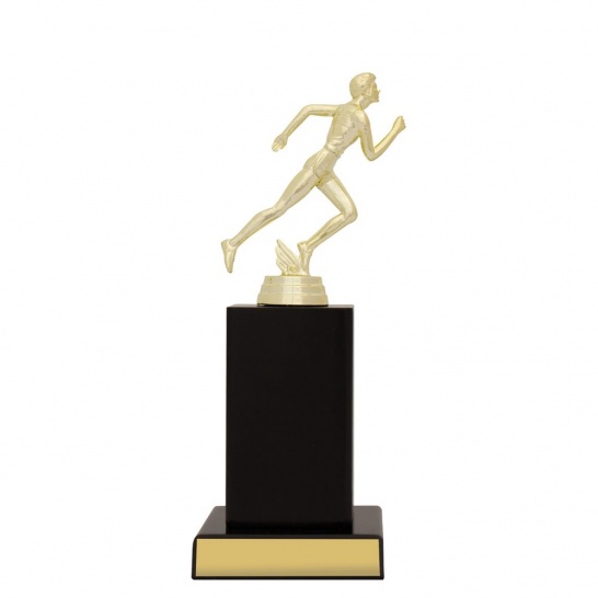 X614D - Trophy Land