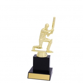 Cricket Trophy X624B - Trophy Land