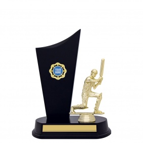 Cricket Trophy X627A - Trophy Land