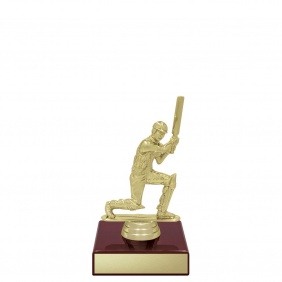 Cricket Trophy X628A - Trophy Land
