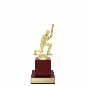 Cricket Trophy X628B - Trophy Land
