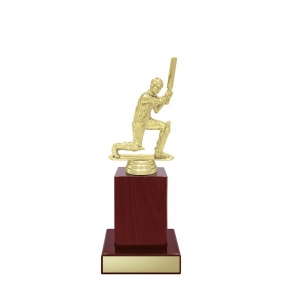 Cricket Trophy X628C - Trophy Land