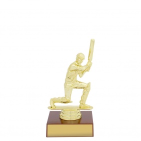 Cricket Trophy X657A - Trophy Land