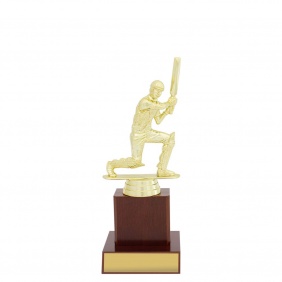 Cricket Trophy X657B - Trophy Land