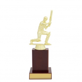 Cricket Trophy X657C - Trophy Land