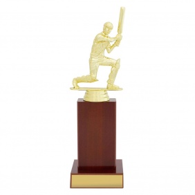 Cricket Trophy X657D - Trophy Land