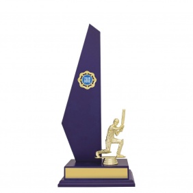 Cricket Trophy X659B - Trophy Land