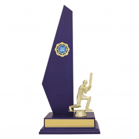 Cricket Trophy X659C - Trophy Land