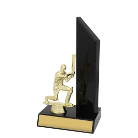 Cricket Trophy X684B - Trophy Land