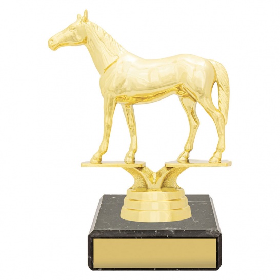 YB8139 - Trophy Land