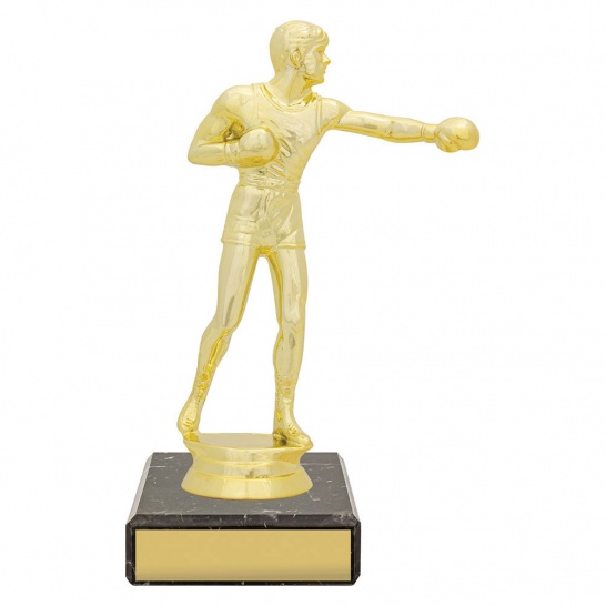 YB8348 - Trophy Land